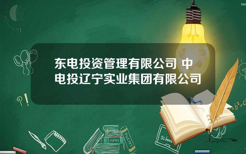 东电投资管理有限公司 中电投辽宁实业集团有限公司